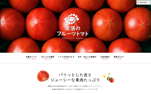 JA高知県 香美地区園芸部 フルーツトマト部会 様