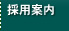 �̗p�ē�